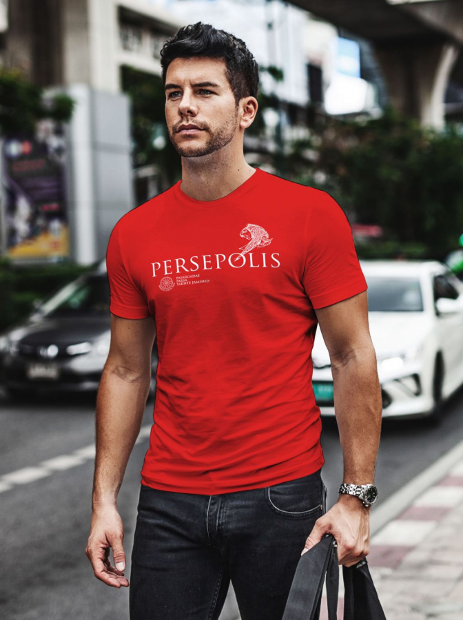 Persian Designs On Our Own 100% Organic T Shirts, Persian Lion, Persepolis For Men