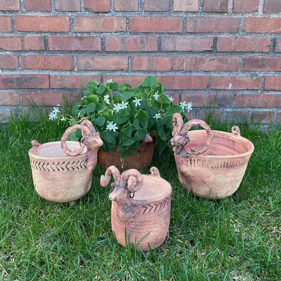 Bozi - Planters