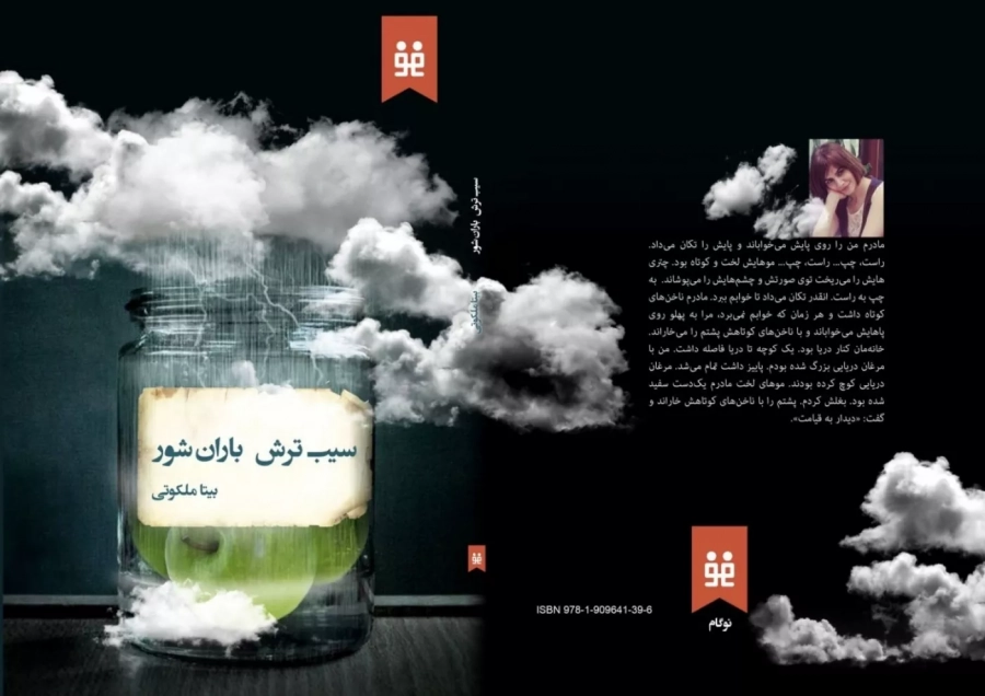 Sour Apple Salty Rain Persian Book
