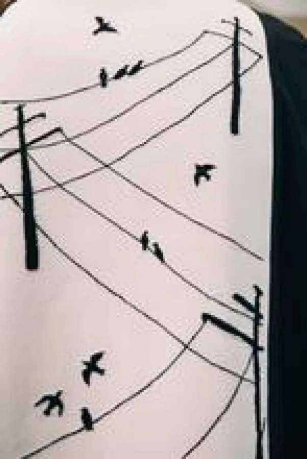 Colte - Birds On Wires Vest