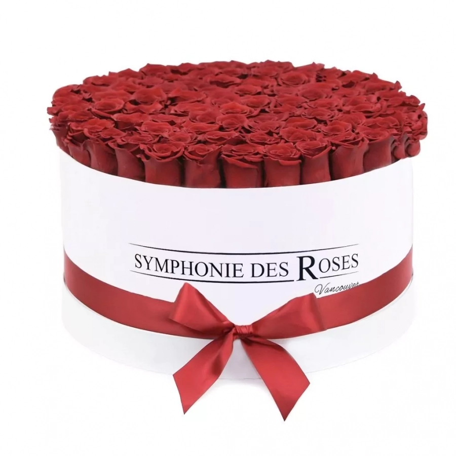 Red Roses In A White Box- Luxe Collection