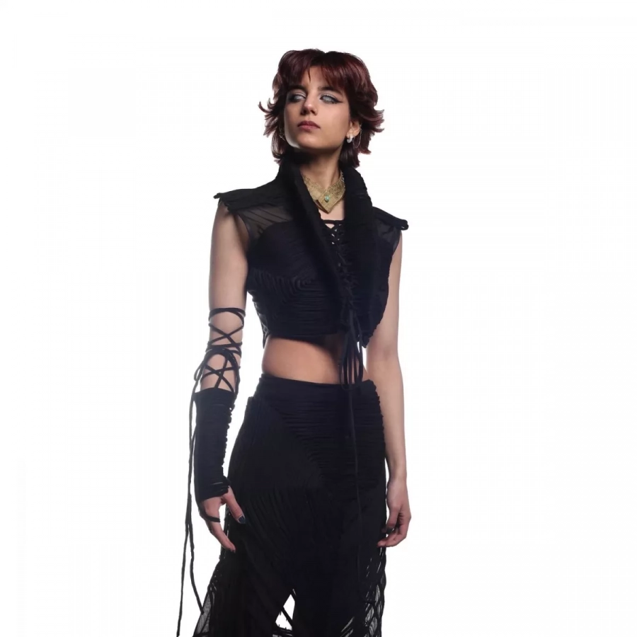 hand crafted high collared shredded crop top and embroidered harem pants